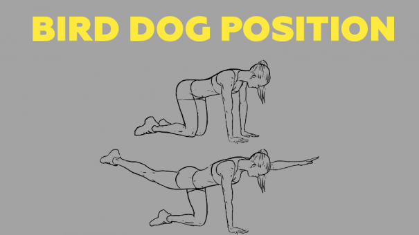 Bird dog position
