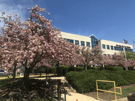 Pain Management Clinic in Fairfax