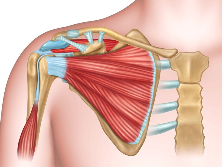 The Best Shoulder Pain Remedies