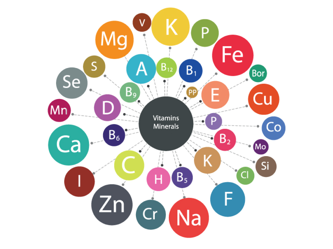 Vitamins and minerals