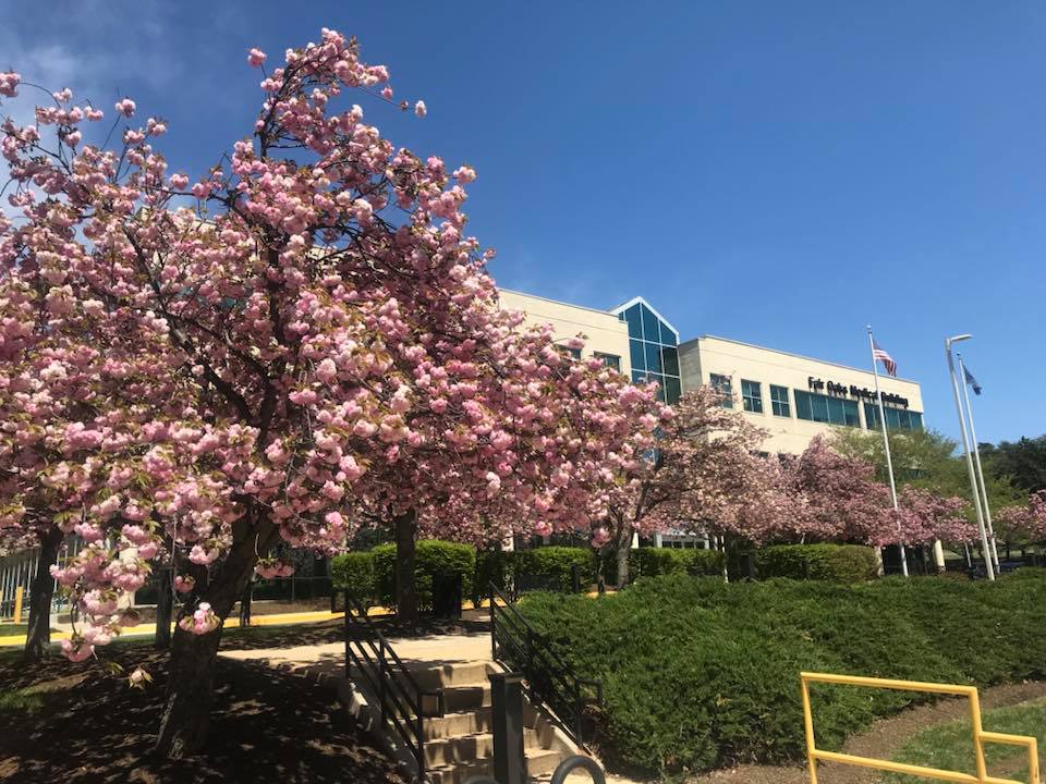 sapna spine and pain clinics of north america fair oaks medical building fairfax 1