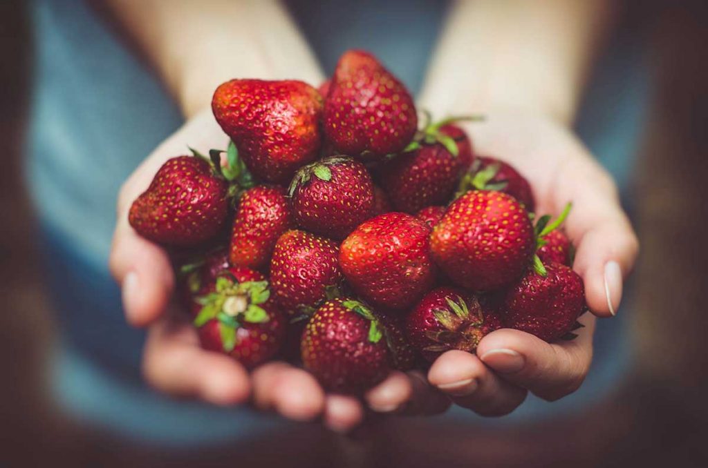 berries support a healthy immune system