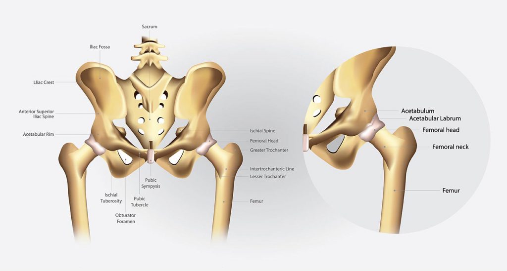 What is the Sacroiliac Joint