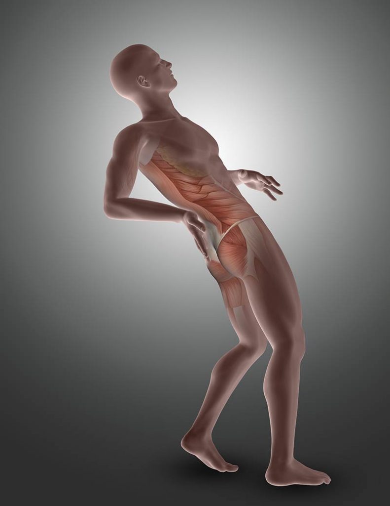 What is the Psoas Muscle?